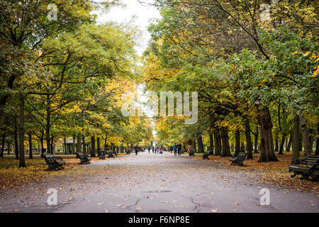 Regents Park, London in the Autumn Stock Photo