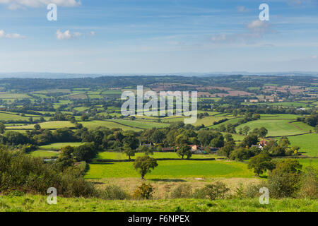 Blackdown Hills east Devon countryside view from East Hill near Ottery St Mary an Area of Outstanding Natural Beauty Stock Photo