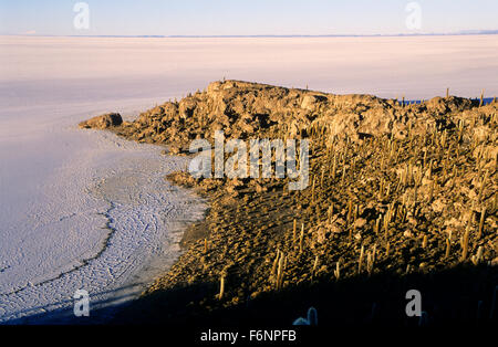 Isla del Pescado ,Salar de Uyuni.Bolivia. Stock Photo