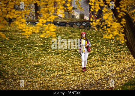 (151118) -- SUIZHOU, Nov. 18, 2015 (Xinhua) -- A woman takes pictures ...