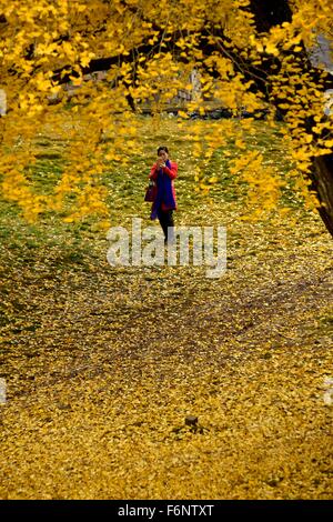 (151118) -- SUIZHOU, Nov. 18, 2015 (Xinhua) -- A woman takes pictures ...