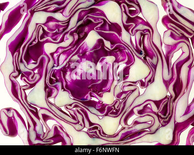 slice of red cabbage on white background backlit lighting Stock Photo