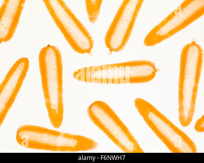 thin carrot slices on white background illuminated backlit Stock Photo