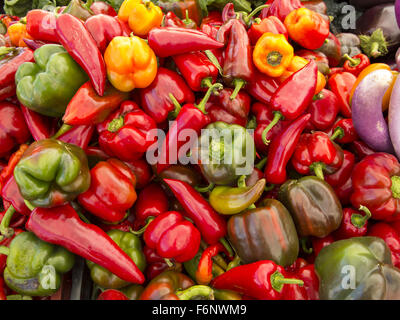 A variety of colorful peppers for sale at the Grand Army Plaza Farmers ...
