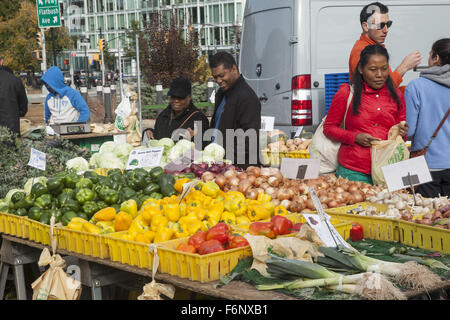 People shop at the Grand Army Plaza Farmers Market in Park Slope, Brooklyn, NY. Stock Photo
