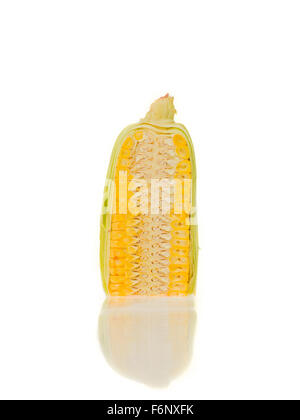 sectioned corn on white background Stock Photo