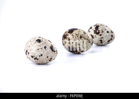 isolated quail eggs Stock Photo
