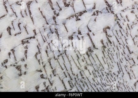 macro old marble Stock Photo