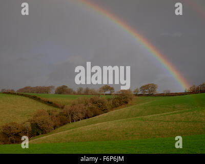 Rainbow over fields, Dartmoor, Devon, UK Stock Photo
