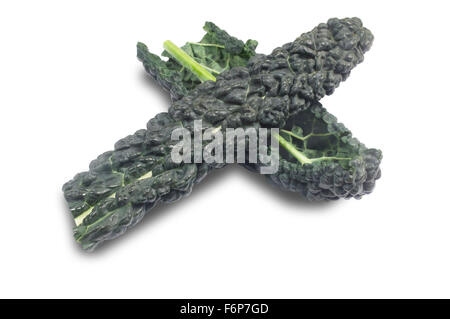 Black Kale Stock Photo