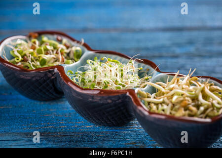Three different kind of sprouts in ceramic bowl
