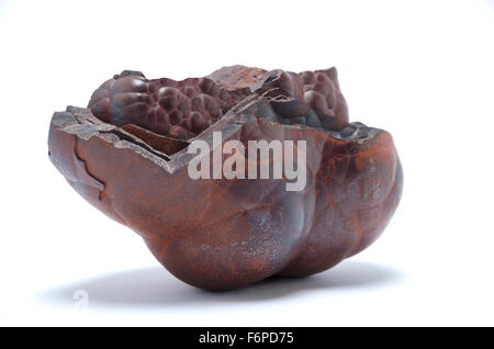 lump of kidney ore hematite Stock Photo