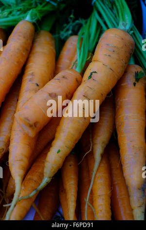 fresh carrots on a market stall Stock Photo