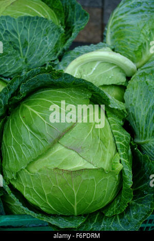 Green cabbage on a market stall Stock Photo