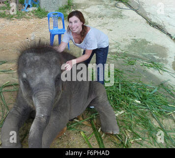 Young woman petting a baby elephant on the roadside in Phuket, Thailand Stock Photo