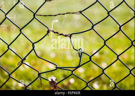 Torn hole in a wire mesh, hurricane, or cyclone steel fence Stock Photo