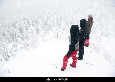 Caucasian hikers on mountaintop admiring snowy forest Stock Photo