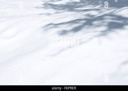 close up view of nice fresh snowbank surface with some shadows on it Stock Photo
