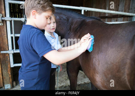 Two boys grooming horse in stable Stock Photo