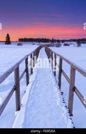 A boardwalk through the frozen landscape of the Hautes Fagnes (Hoge Venen, Hohes Venn, High Fens) in the east of Belgium. Photog Stock Photo