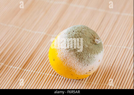 Green mold on yellow lemon fruit lying on mat, moldy and decayed bad food wastage, one lemon garbage in horizontal orientation Stock Photo