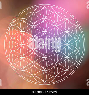 flower of life on colored blured background Stock Photo