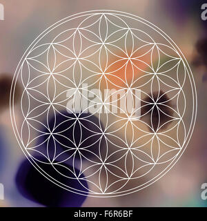 flower of life on colored blured background Stock Photo