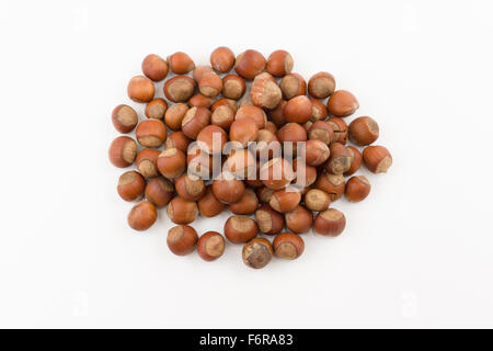 the hill of hazelnuts in a shell lies on a white background Stock Photo