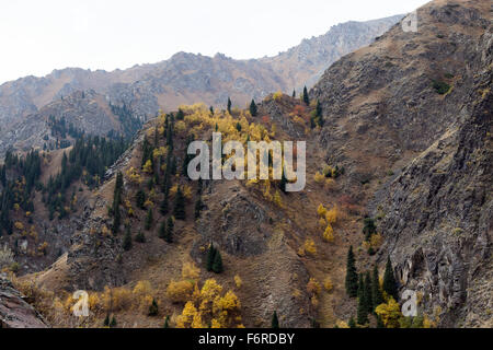 Tien Shan Mountains in Autumn Colors, Xinjiang Autonomous Region, China. Stock Photo