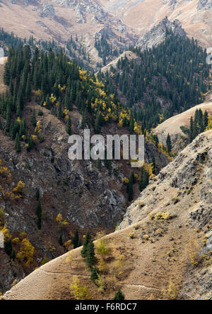 Idyllic Landscape Of Winding River Stream Meander At Lush Green Meadow 