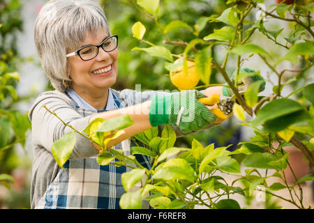 Beautiful mature woman taking care of the garden Stock Photo