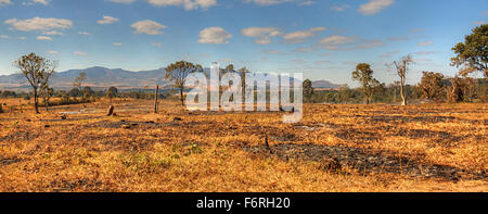 A large area of cleared trees being burned in hope of being replanted in Chongoni Forest, Dedza, Malawi, Africa - Dedza Mountain Stock Photo