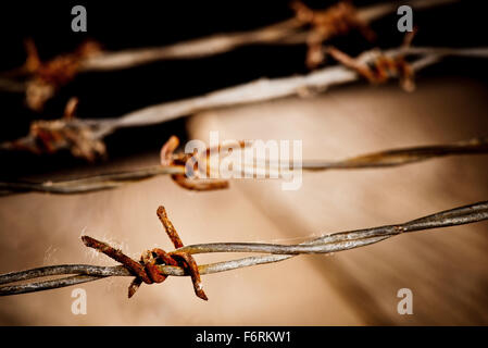 detail of rusty barbed wire, shallow depth of field Stock Photo