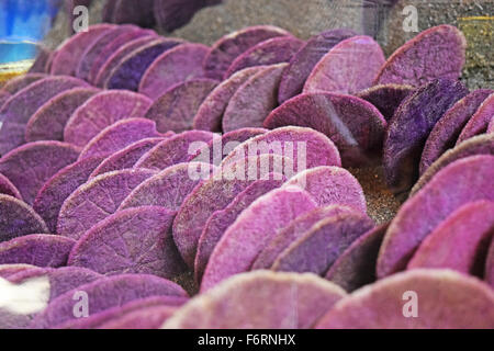 Sand Dollars Stock Photo