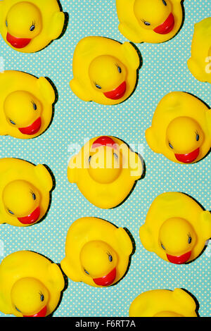 a pile of rubber ducks, one of them countercurrent, on a dot-patterned background, with a hard-shadow processing Stock Photo