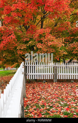Autumn scenic, Canterbury, New Hampshire, USA Stock Photo