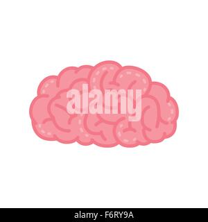 Vector Illustration of Human Brain in Pink Color. Stock Vector