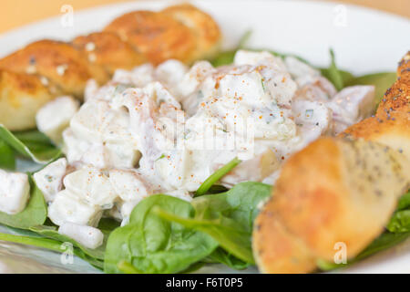 Potato salad on bed of spinach greens with bread stick twists Stock Photo