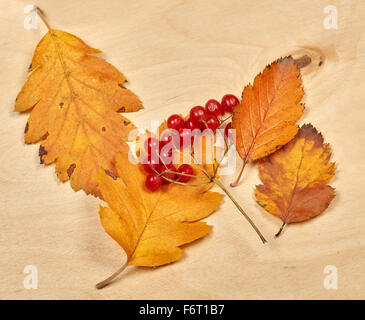 colorful autumn leaves on wooden background Stock Photo
