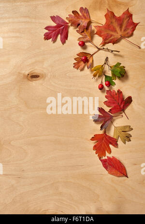 colorful autumn leaves frame on wooden background Stock Photo