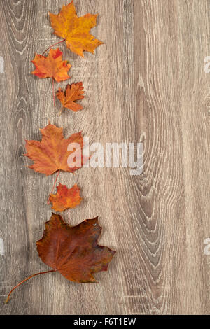 colorful autumn leaves frame on wooden background Stock Photo