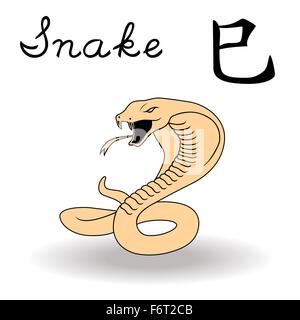 Eastern Zodiac Sign Snake, symbol of New Year in Chinese calendar, hand drawn vector artwork isolated on a white background Stock Vector