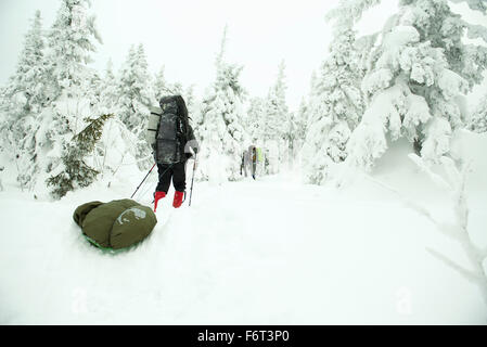 Caucasian hikers walking in snowy forest Stock Photo