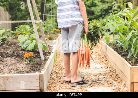 Caucasian boy holding carrots in garden