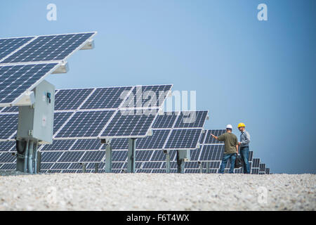 Caucasian technicians talking near solar panels Stock Photo