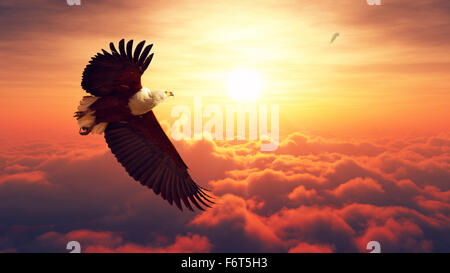 African Fish Eagle flying high above the clouds with sunrise (Digital artwork) Stock Photo
