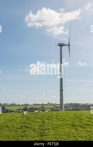 Small flock of sheep lying on grassy mound below local farm's wind-turbine in  South Devon Stock Photo