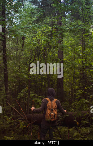 Caucasian man walking in forest Stock Photo