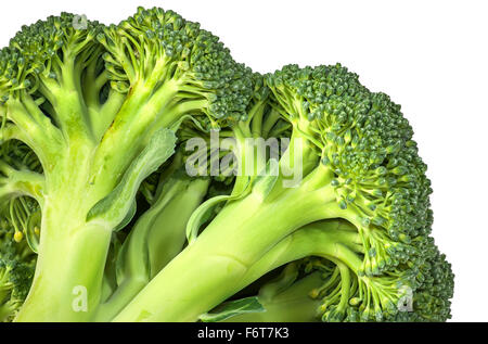 Closeup inflorescence of fresh broccoli isolated on white background Stock Photo