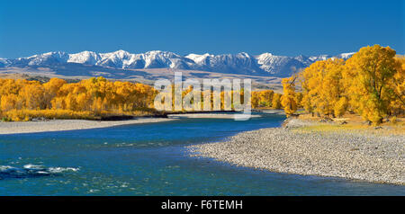 panorama of fall colors along the yellowstone river below the absaroka mountains near springdale, montana Stock Photo